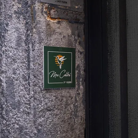 公寓 Colibri A Piazza Dante *